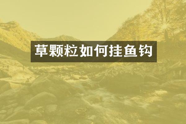 草颗粒如何挂鱼钩