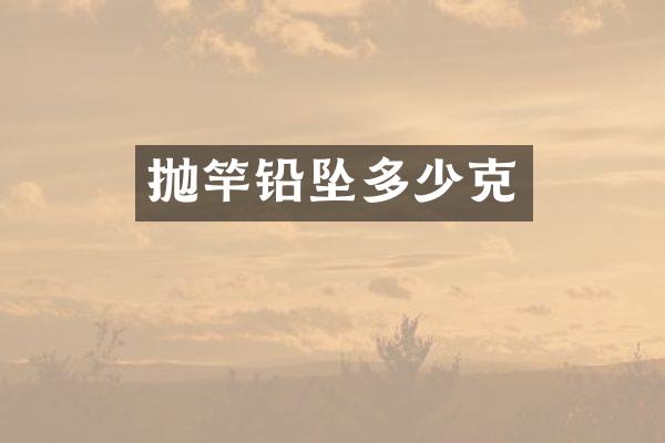 抛竿铅坠多少克