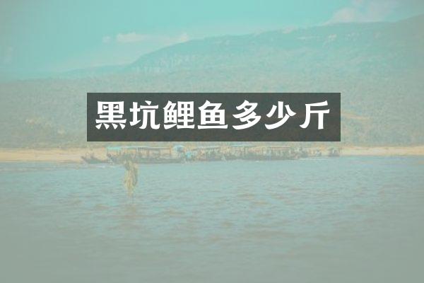 黑坑鲤鱼多少斤