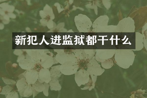 新犯人进监狱都干什么