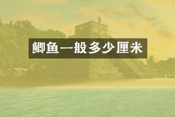 鲫鱼一般多少厘米