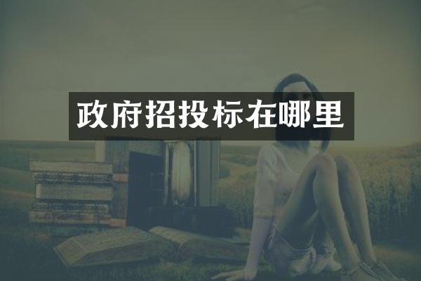 政府招投标在哪里