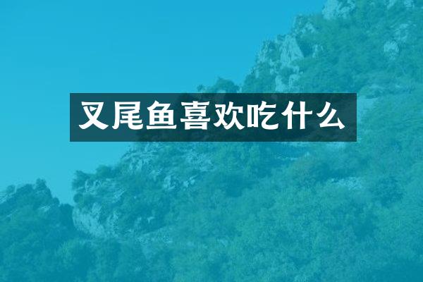 叉尾鱼喜欢吃什么