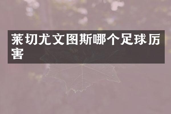 莱切尤文图斯哪个足球厉害