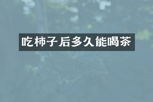 吃柿子后多久能喝茶