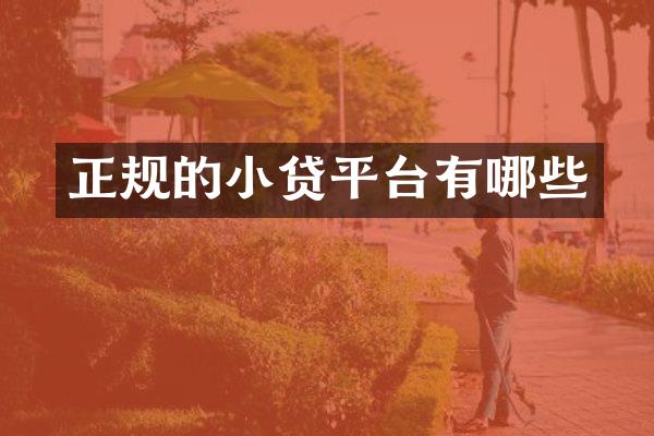 正规的小贷平台有哪些
