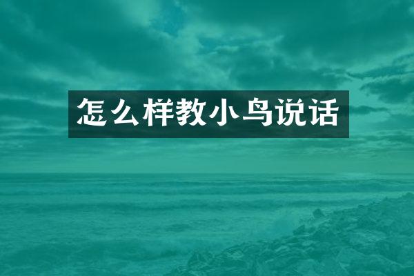 怎么样教小鸟说话