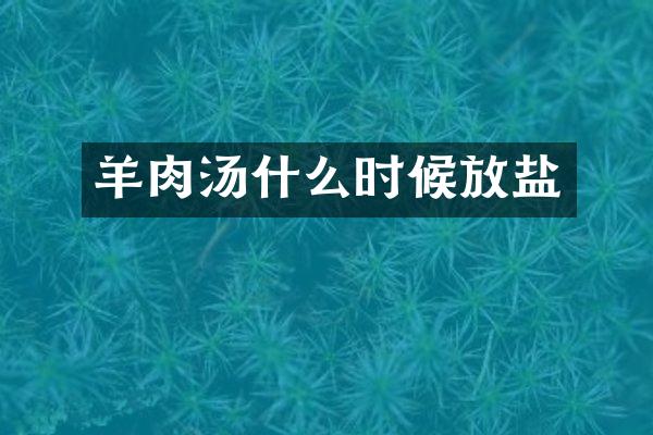 羊肉汤什么时候放盐