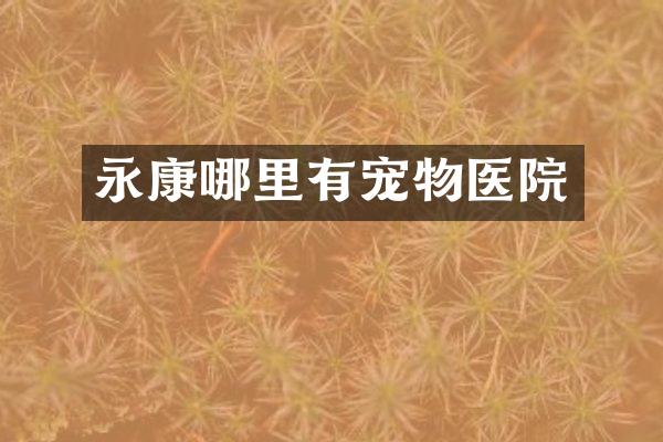 永康哪里有宠物医院
