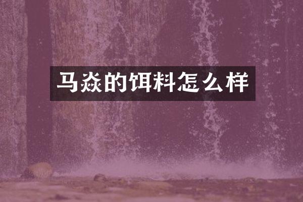 马焱的饵料怎么样