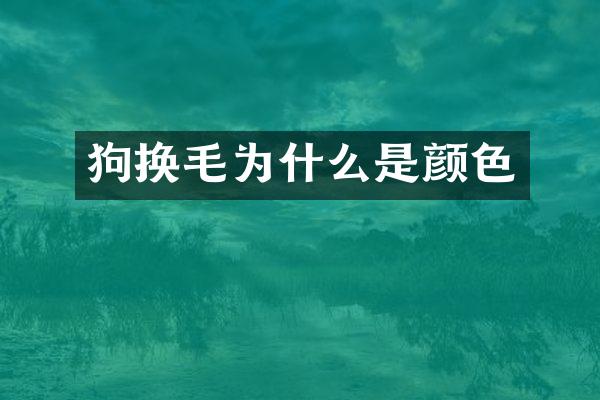 狗换毛为什么是颜色