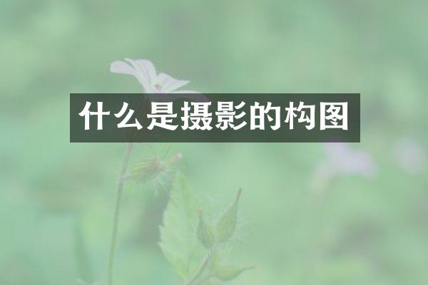 什么是摄影的构图