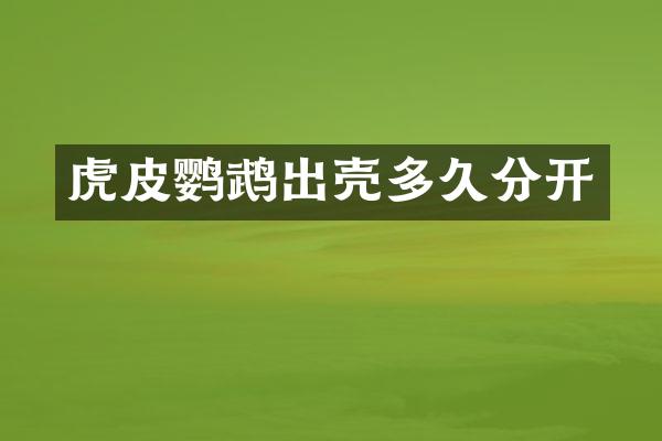 虎皮鹦鹉出壳多久分开