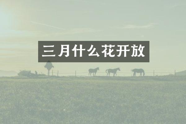 三月什么花开放