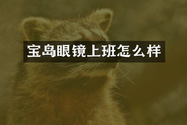 宝岛眼镜上班怎么样