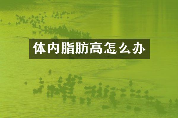 体内脂肪高怎么办