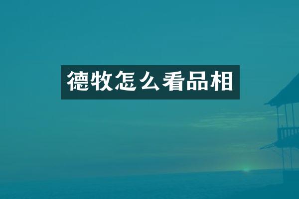 德牧怎么看品相