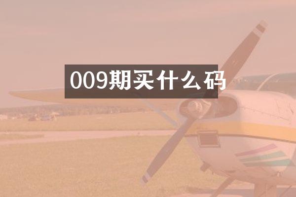 009期买什么码