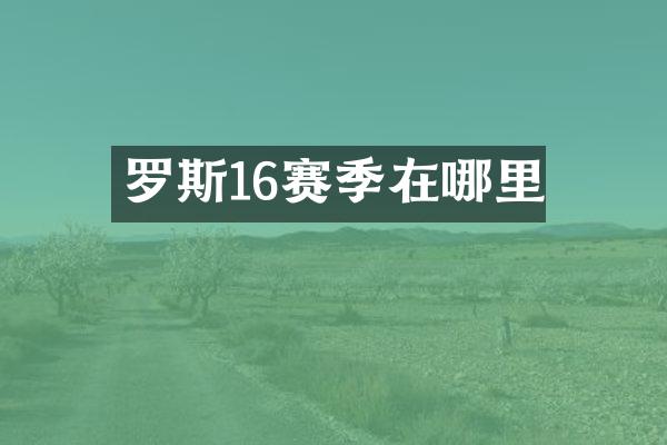 罗斯16赛季在哪里