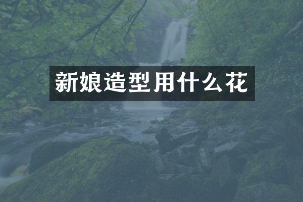 新娘造型用什么花