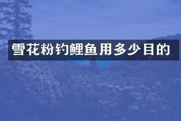 雪花粉钓鲤鱼用多少目的