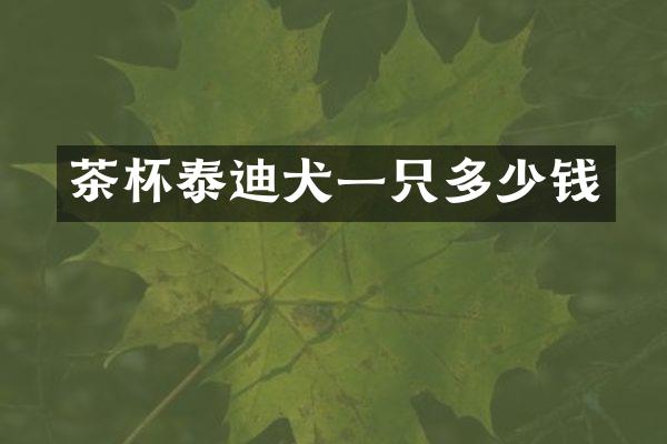 茶杯泰迪犬一只多少钱