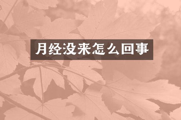 月经没来怎么回事