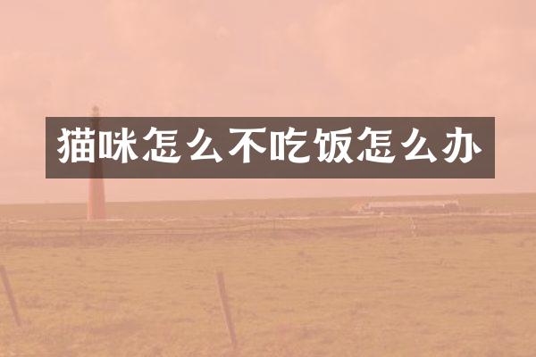 猫咪怎么不吃饭怎么办