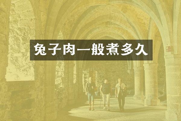 兔子肉一般煮多久