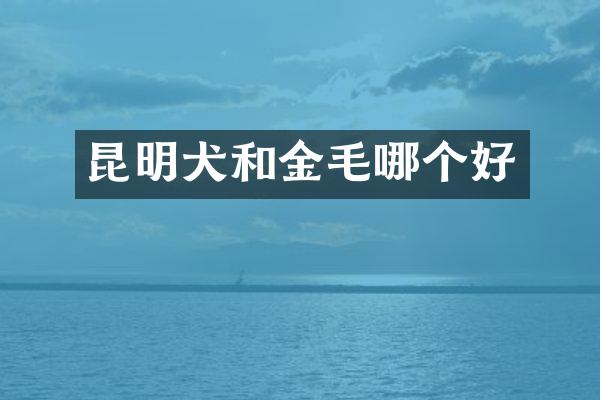 昆明犬和金毛哪个好