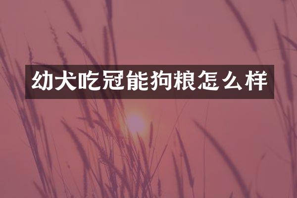 幼犬吃冠能狗粮怎么样