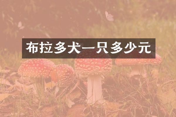 布拉多犬一只多少元