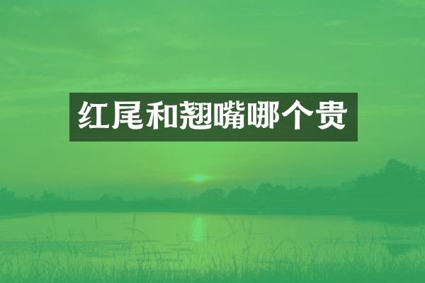 红尾和翘嘴哪个贵