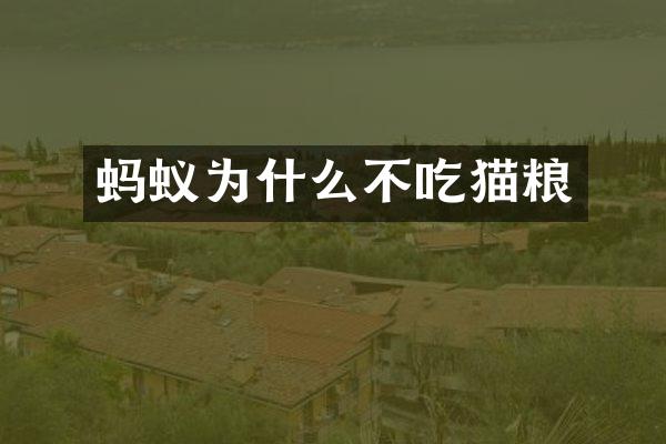蚂蚁为什么不吃猫粮