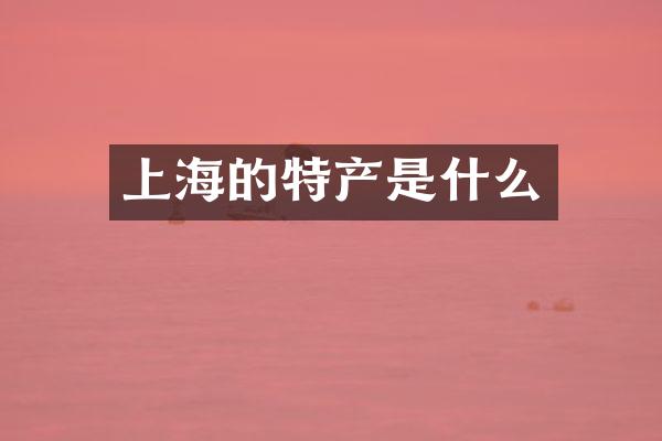 上海的特产是什么