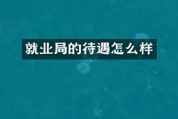 就业局的待遇怎么样