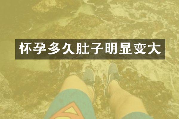 怀孕多久肚子明显变大