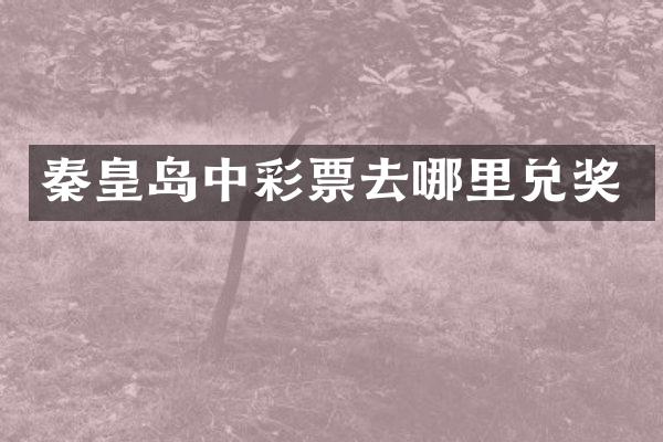 秦皇岛中彩票去哪里兑奖