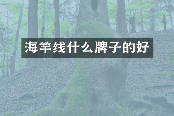 海竿线什么牌子的好