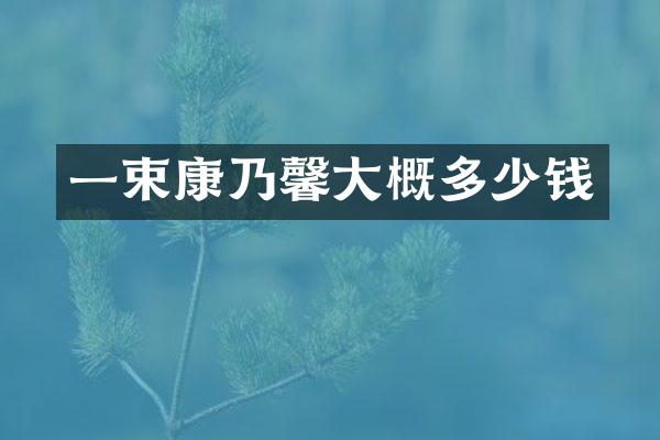 一束康乃馨大概多少钱