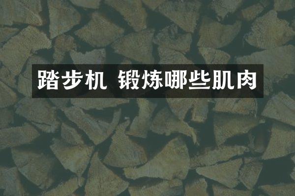 踏步机 锻炼哪些肌肉