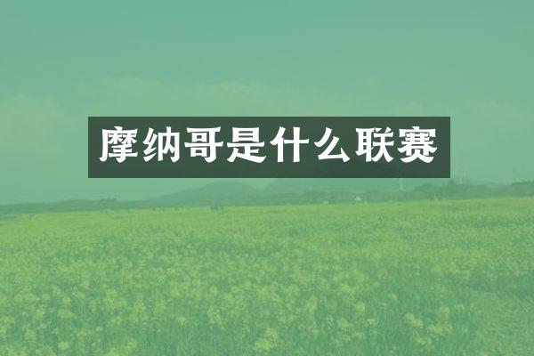摩纳哥是什么联赛