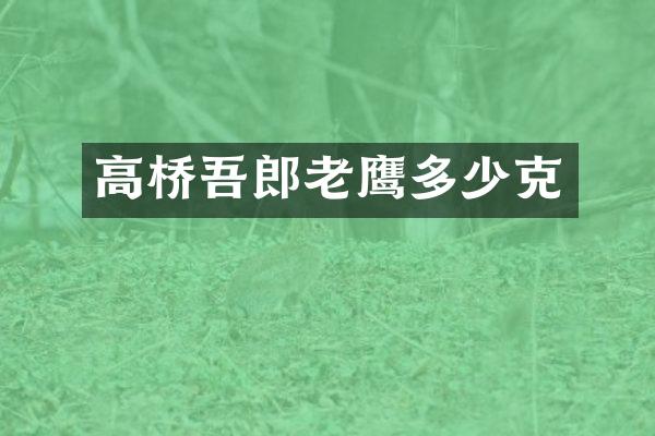 高桥吾郎老鹰多少克