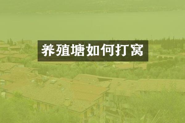 养殖塘如何打窝