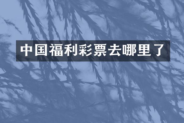 中国福利彩票去哪里了