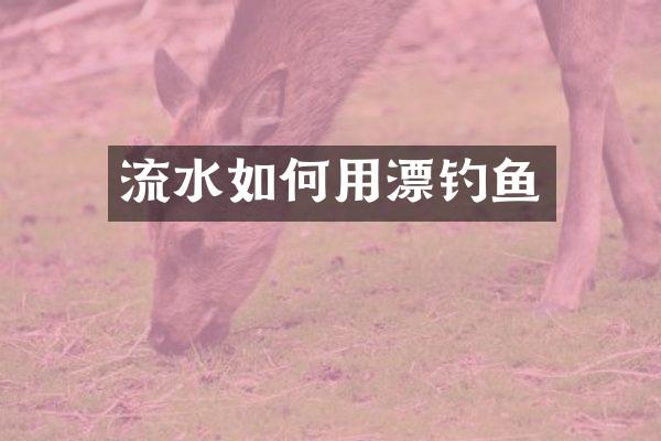 流水如何用漂钓鱼