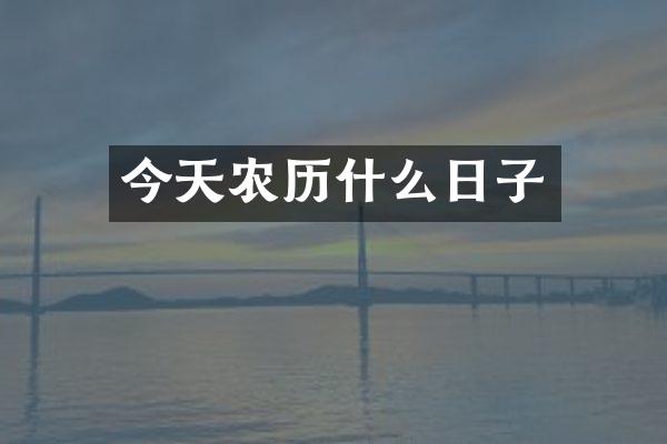 今天农历什么日子