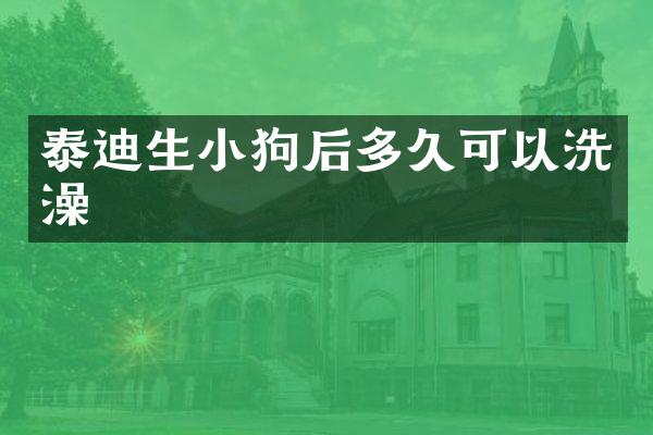 泰迪生小狗后多久可以洗澡