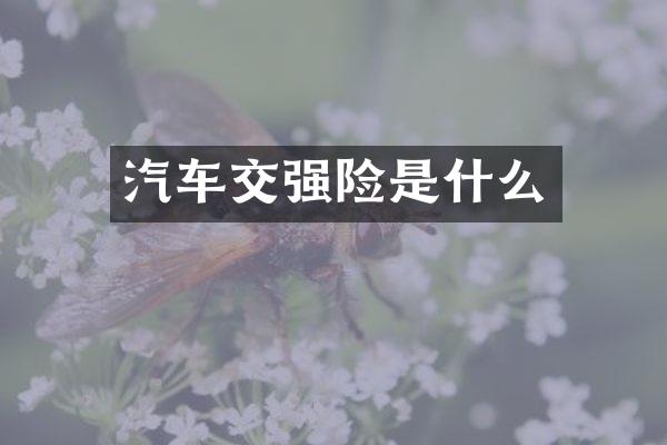 汽车交强险是什么