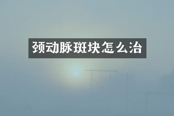 颈动脉斑块怎么治